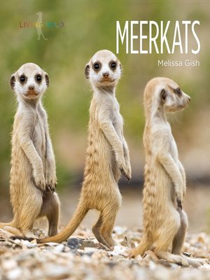cover image of Meerkats